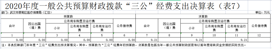 怎么查询医保耗材价格2020年度武汉市蔡甸区医疗保障局（汇总）部门决算_https://www.jmylbn.com_新闻资讯_第5张
